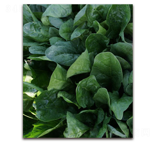 TI-12L-���˷N��-�S�{�N��