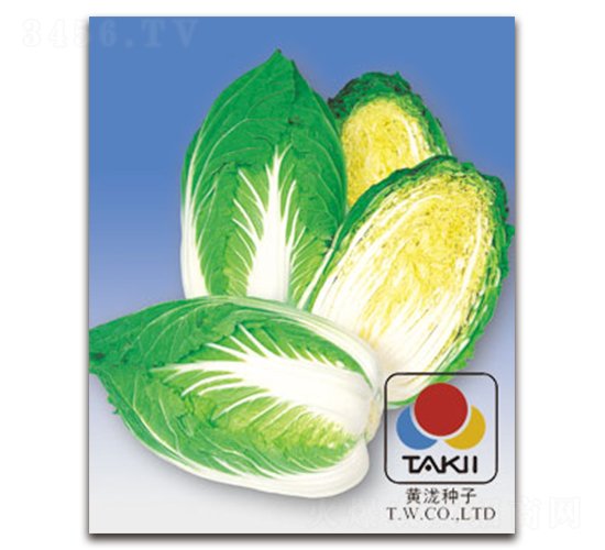 ������-�ײ˷N��-�S�{�N��