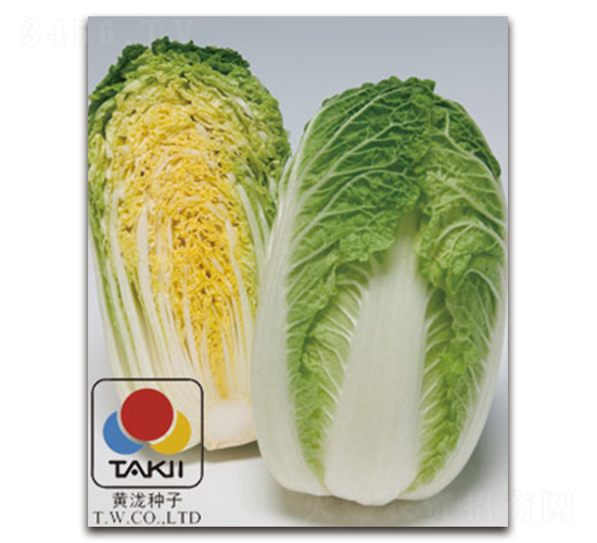 ������-�ײ˷N��-�S�{�N��