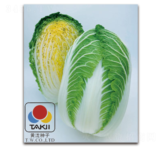 ��÷-�ײ˷N��-�S�{�N��