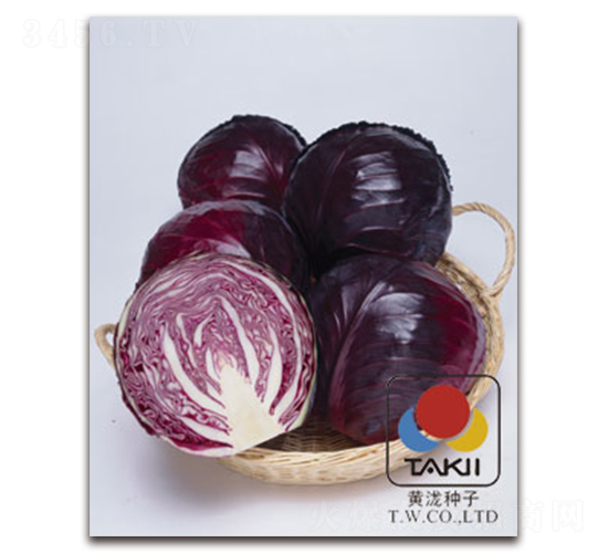 �����R��-�ϸ��{(l��n)�N��-�S�{�N��