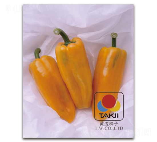 �S����-�𽷷N��-�S�{�N��