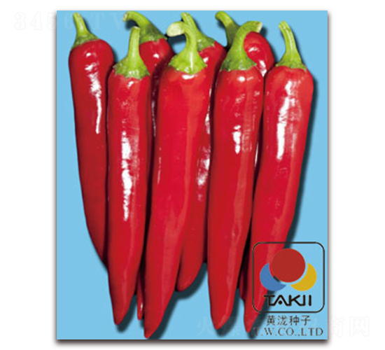 ����̖-�����N��-�S�{�N��