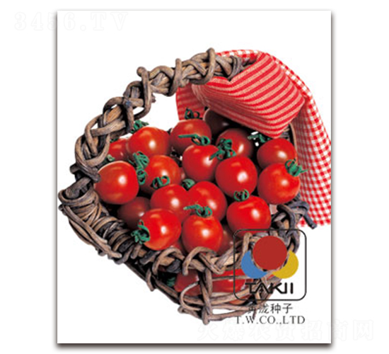 �t�񣨙��ҷ��ѣ�-���ѷN��-�S�{�N��