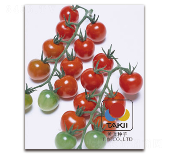 ���������ҷ��ѣ�-���ѷN��-�S�{�N��