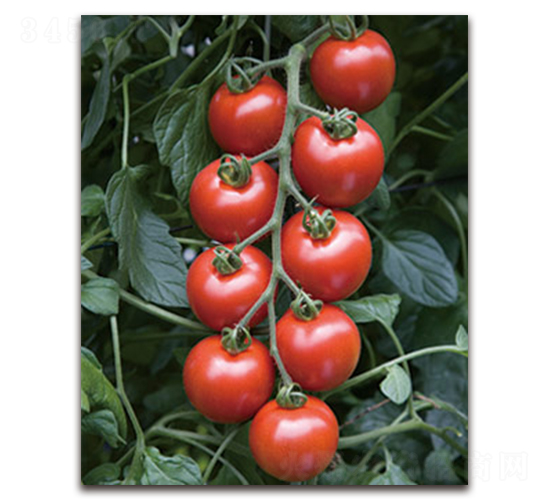 TI-101�����ҷ��ѣ�-���ѷN��-�S�{�N��