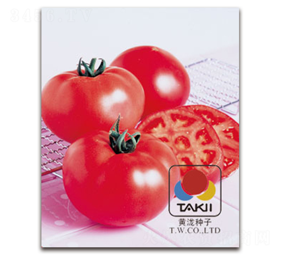 ���ǣ��۹���-���ѷN��-�S�{�N��