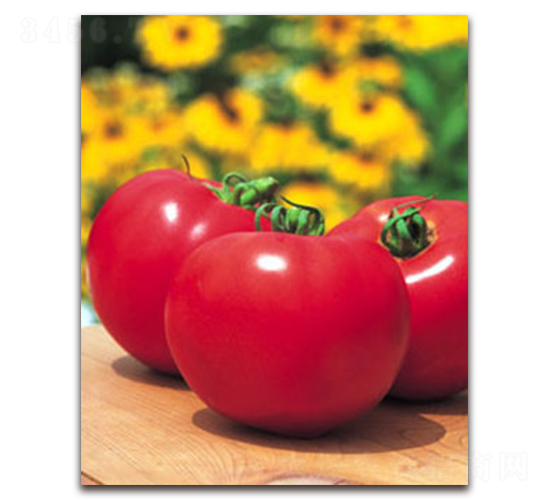 TI-08W���۹���-���ѷN��-�S�{�N��