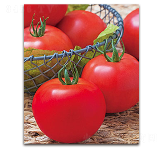 TI-10M���۹���-���ѷN��-�S�{�N��