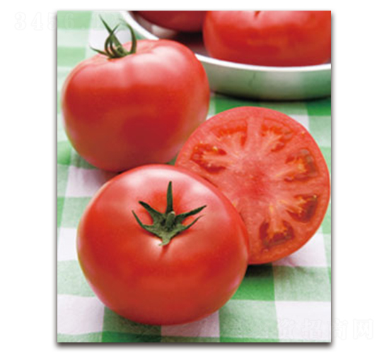 ��̫�ۣ��۹���-���ѷN��-�S�{�N��