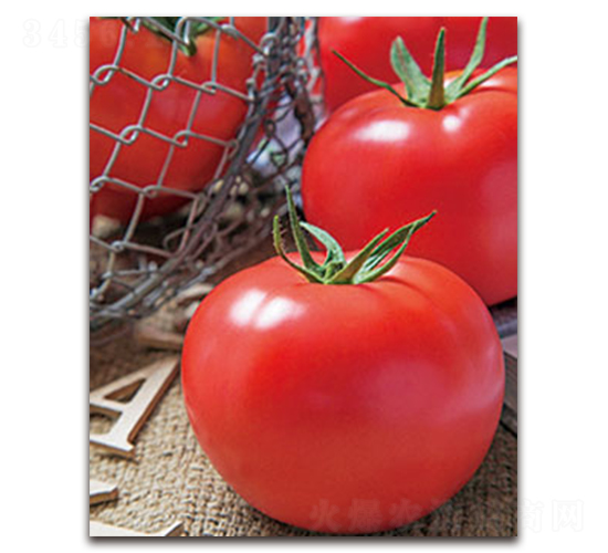 TI-078���۹���-���ѷN��-�S�{�N��