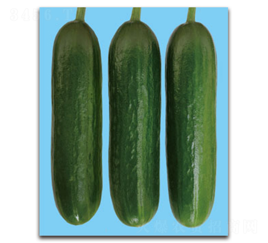 �����_(d��)-�S�ϷN��-�S�{�N��