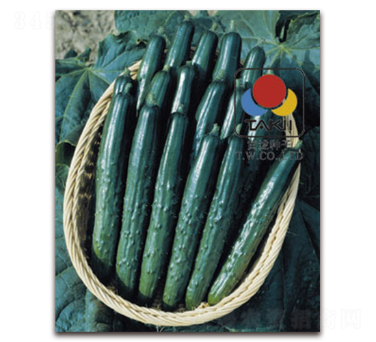 ����Ɲ-�S�ϷN��-�S�{�N��