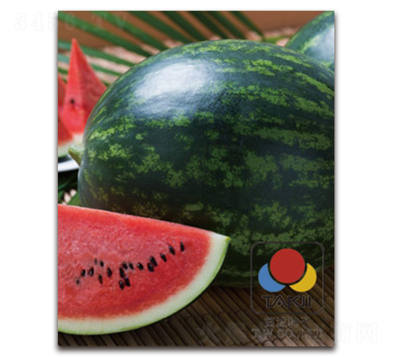 �A�ϱ�-���ϷN��-�S�{�N��