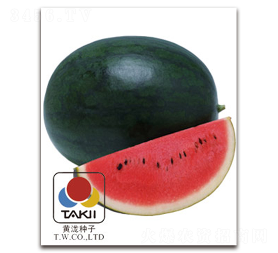 �ڱ�-���ϷN��-�S�{�N��