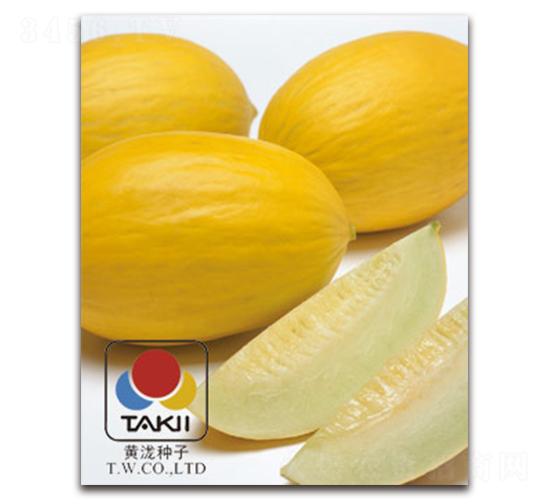 TI-109-��ϷN��-�S�{�N��