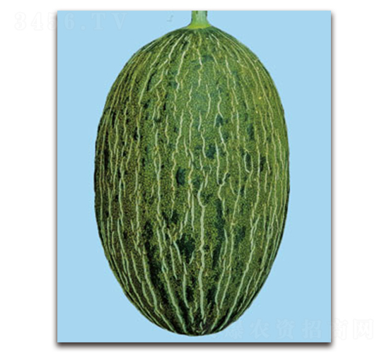 TI-09E-��ϷN��-�S�{�N��