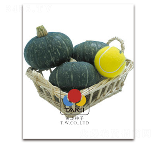 ����-�ϹϷN��-�S�{�N��