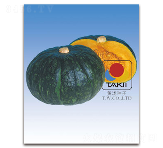 ���S������-�ϹϷN��-�S�{�N��