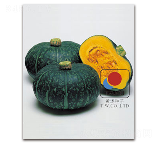 �۱�˹-�ϹϷN��-�S�{�N��