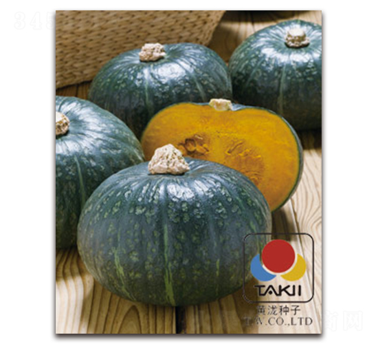 �����۱�˹-�ϹϷN��-�S�{�N��