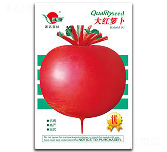 ��t�}��-�}���N��-�ʴ��r�I(y��)