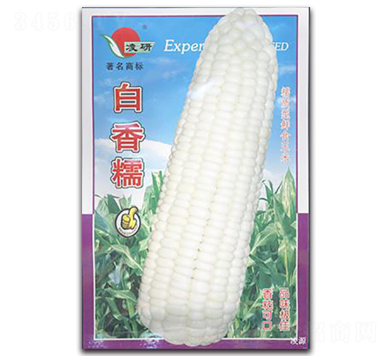 ����Ŵ-Ŵ���׷N��-�ʴ��r(n��ng)�I(y��)