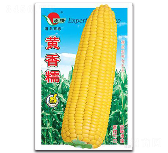 �S��Ŵ-Ŵ���׷N��-�ʴ��r(n��ng)�I(y��)