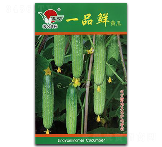 һƷ�r�S��-�S�ϷN��-�ʴ��r(n��ng)�I(y��)