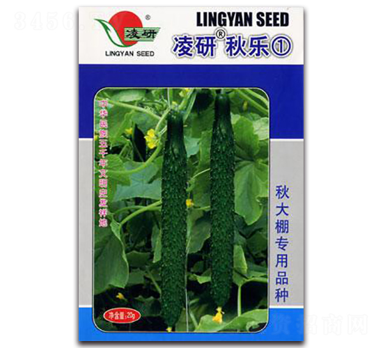 �������-�S�ϷN��-�ʴ��r(n��ng)�I(y��)