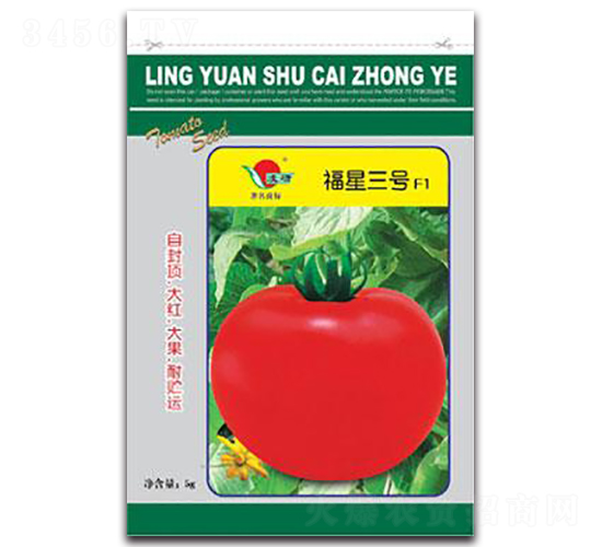 ������̖-���ѷN��-�ʴ��r(n��ng)�I(y��)