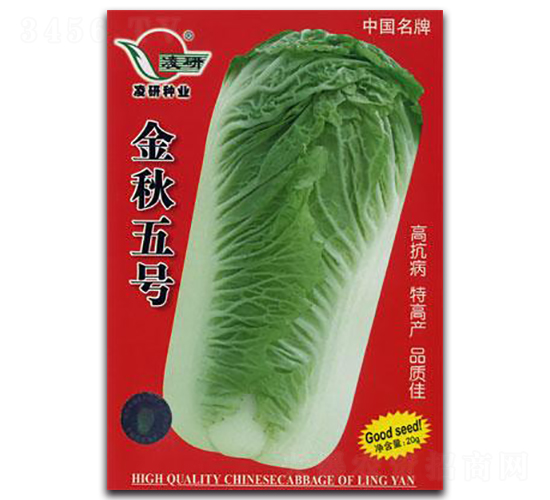 ������̖-�ײ˷N��-�ʴ��r(n��ng)�I(y��)