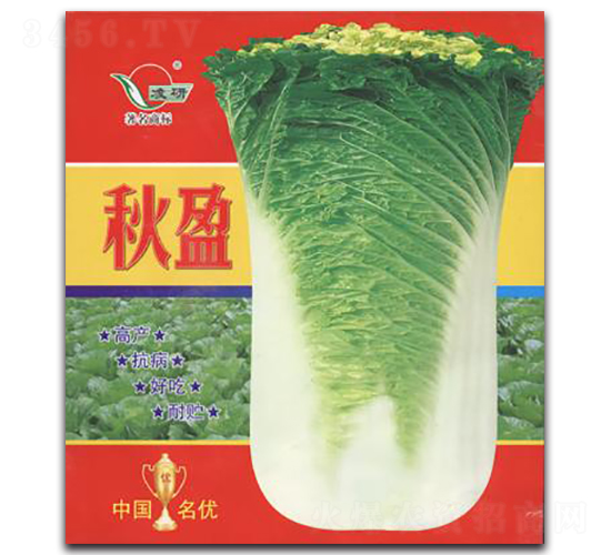 ��ӯ-�ײ˷N��-�ʴ��r(n��ng)�I(y��)