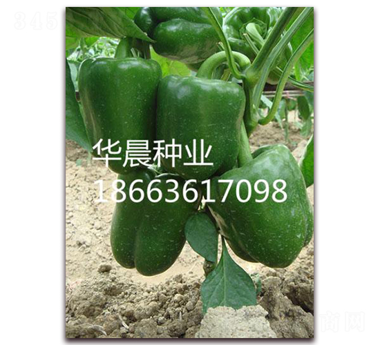 ˹����F1�����m��-�𽷷N��-�A���N�I(y��)