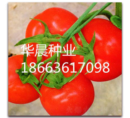 ���ȣ��߿�TY������-���ѷN��-�A���N�I(y��)