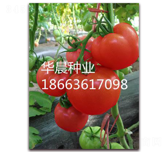 ������-���ѷN��-�A���N�I(y��)