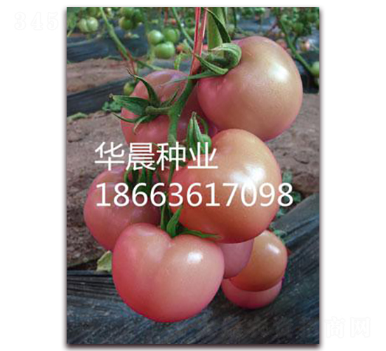 �W�طۣ����m��-���ѷN��-�A���N�I(y��)