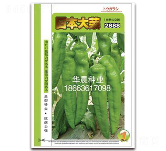 �ձ���s-�����N��-�A���N�I(y��)