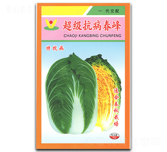 ������������-�ײ˷N��-�������