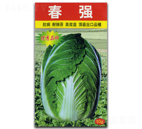 ����-�ײ˷N��-�������