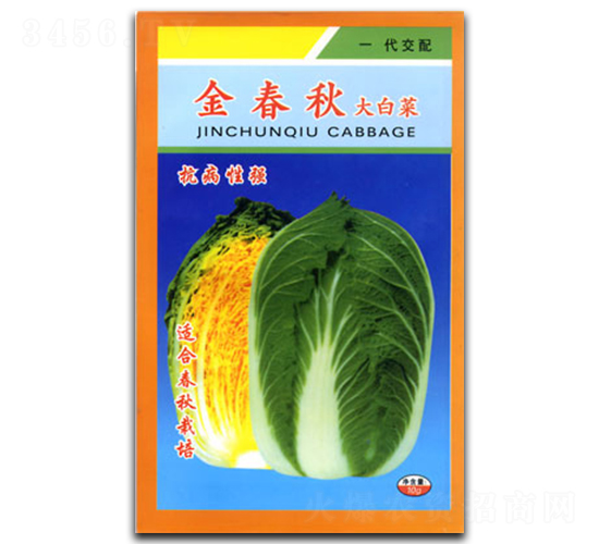 ����-�ײ˷N��-�������