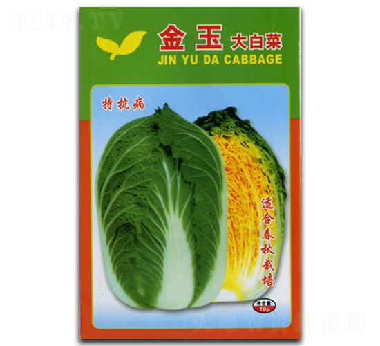 ����-�ײ˷N��-�������