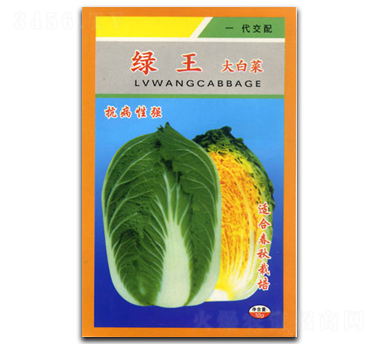 �G��-�ײ˷N��-�������