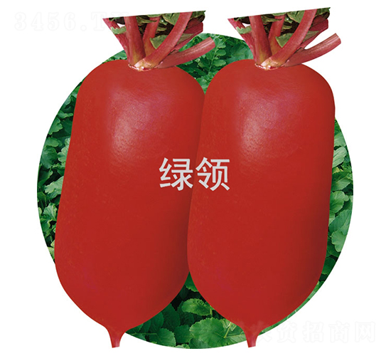 �ļt1̖(h��o)-�}���N��-�G�I(l��ng)�N�I(y��)