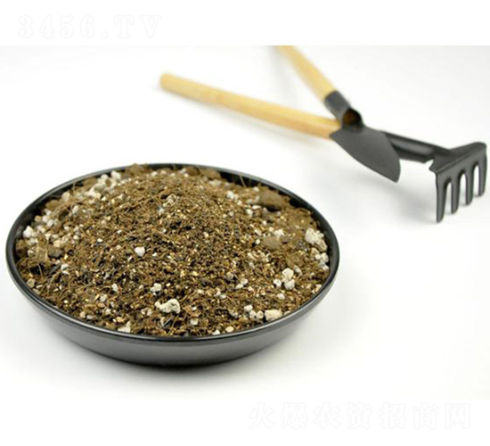 ������ľ�I�B(y��ng)��-�s�S����