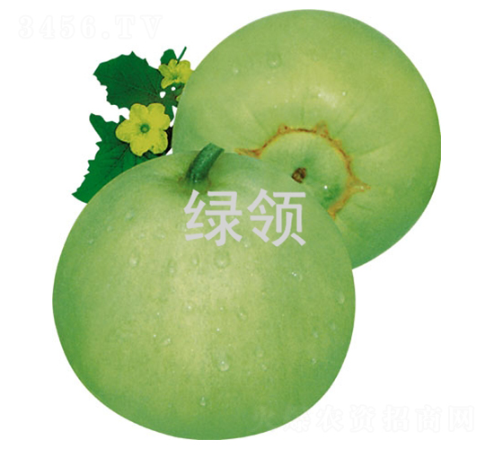 �G�I(l��ng)����-��ϷN��-�G�I(l��ng)�N�I(y��)