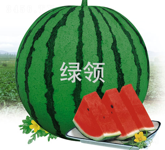 �G�I(l��ng)����188-���ϷN��-�G�I(l��ng)�N�I(y��)