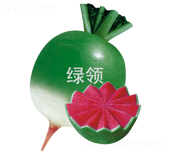 �G�I�M�üt-�}���N��-�G�I�N�I(y��)