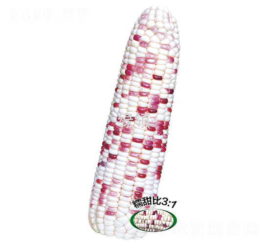 ���ʻ�Ŵ5̖-Ŵ���׷N��-�G�I(l��ng)�N�I(y��)