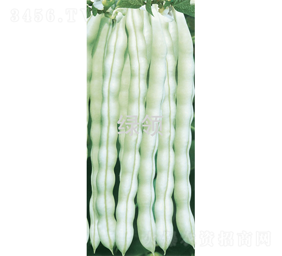 ��������-�ܶ��N��-�G�I(l��ng)�N�I(y��)